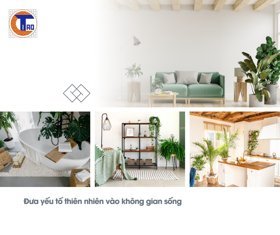 Xây nhà không gian mở đưa yếu tố thiên nhiên vào không gian sống